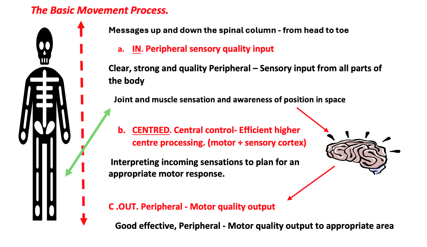 Brain Power and Body Control